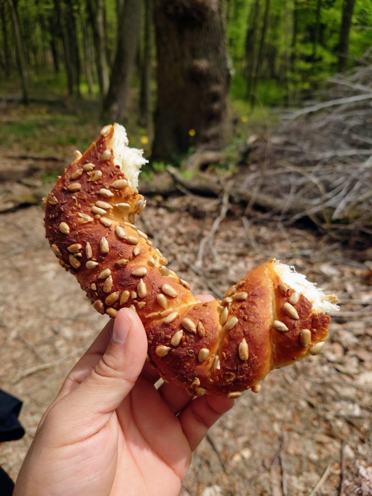 Simit with sunflower seeds in belgrad forest