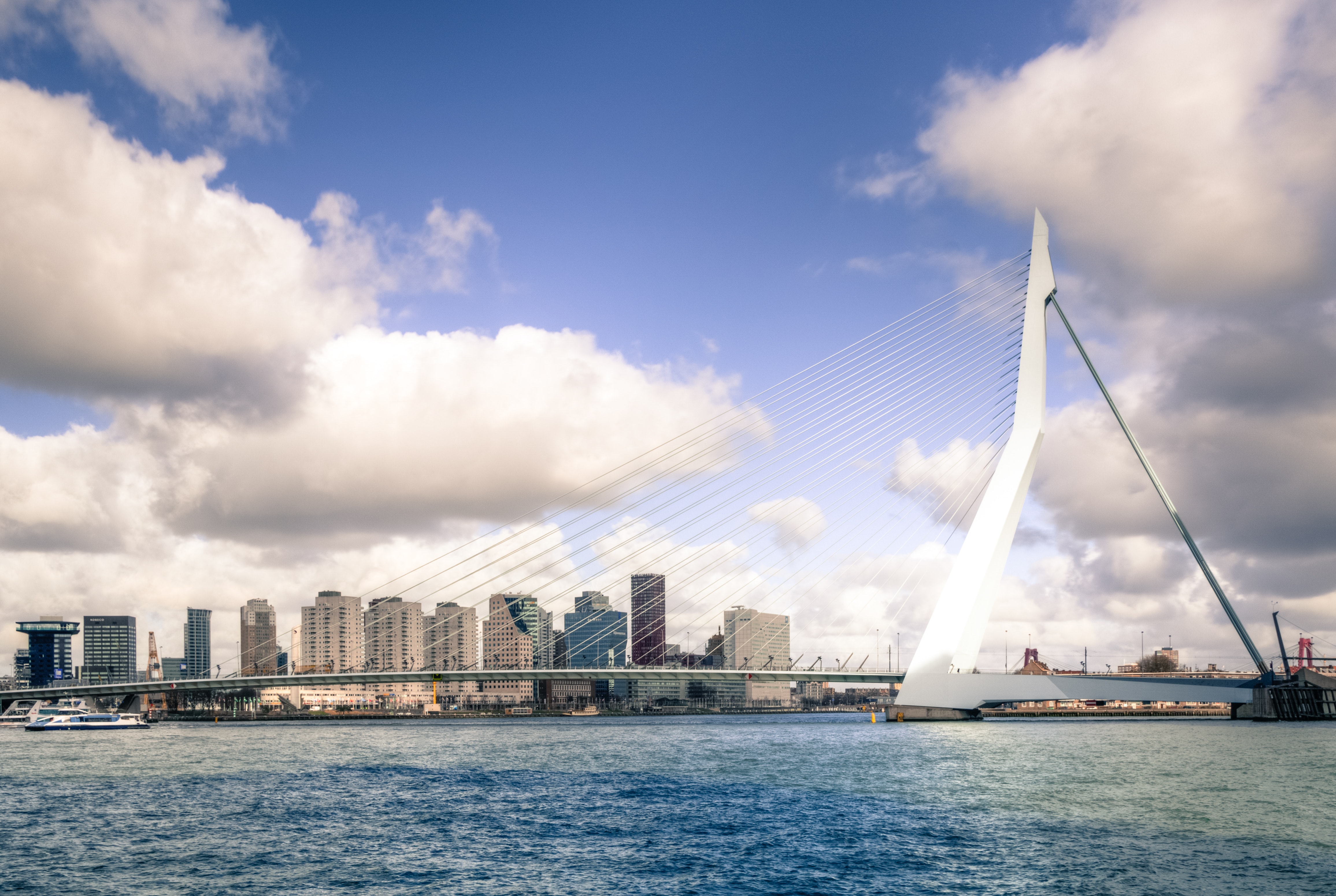 Skyline of Rotterdam with the Erasmusbridge