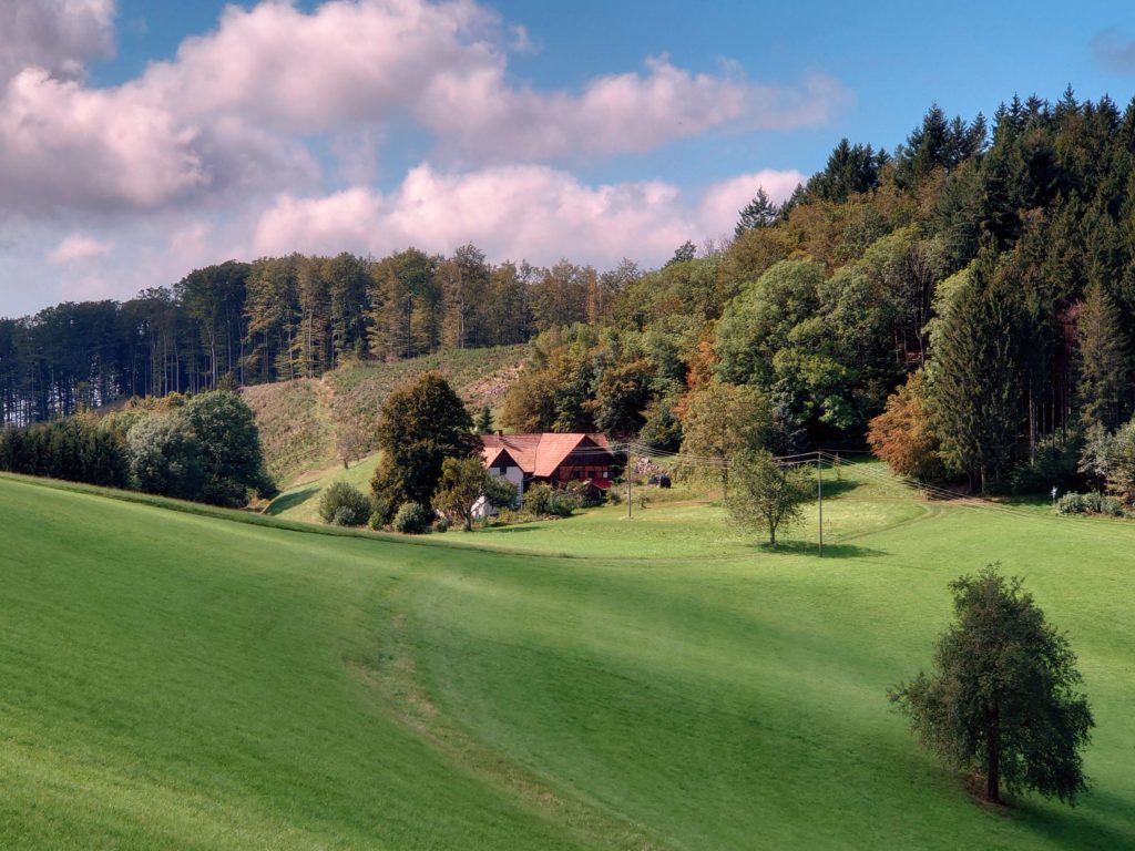 View during the Zweitälersteig, in Black forest, germany