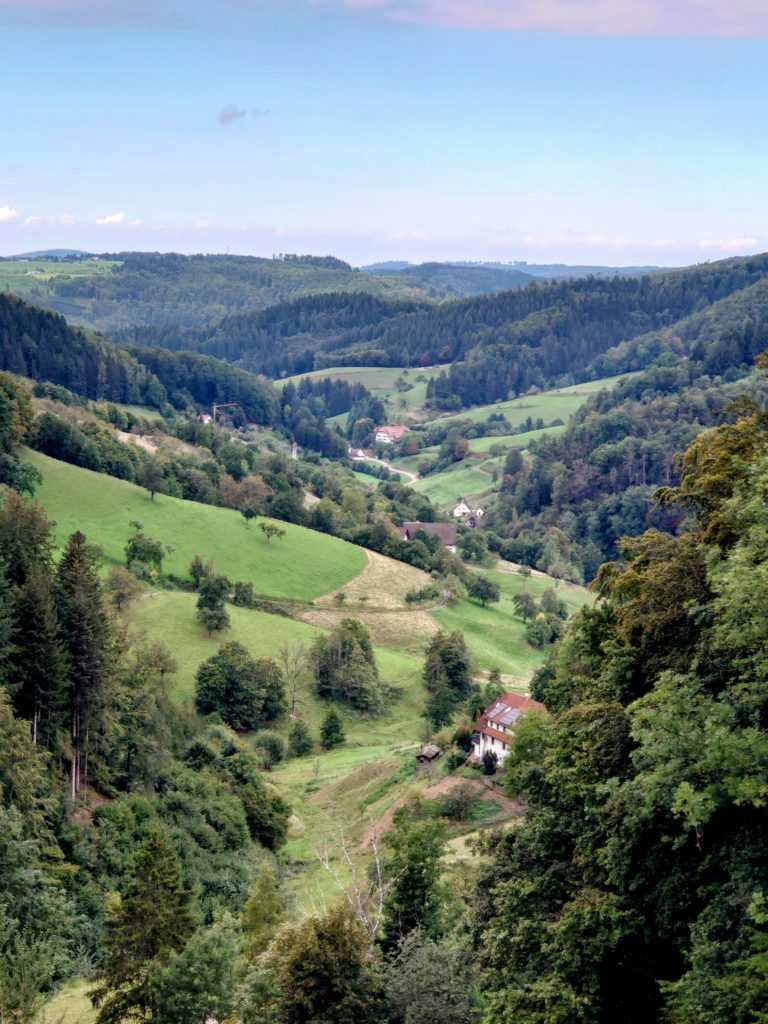 Black Forest, Germany with view over the Elzbergtal